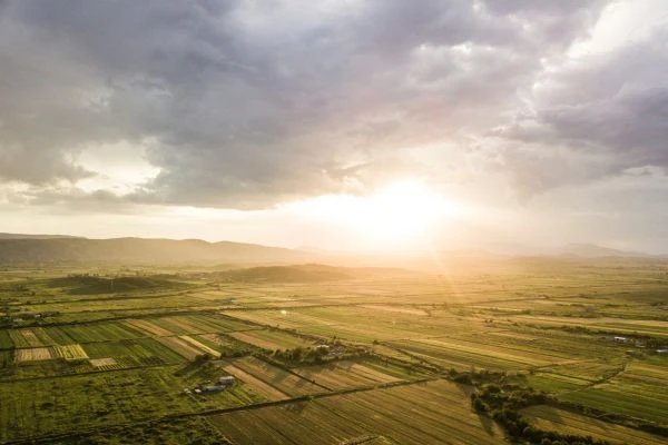 Buying Land at Auction: A Guide to Opportunities and Pitfalls