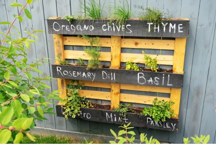 Upcycling in the garden: 10 creative ways to reuse household waste