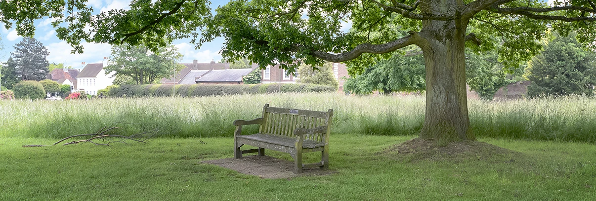 A Complete Area Guide to Living in Barnet, London