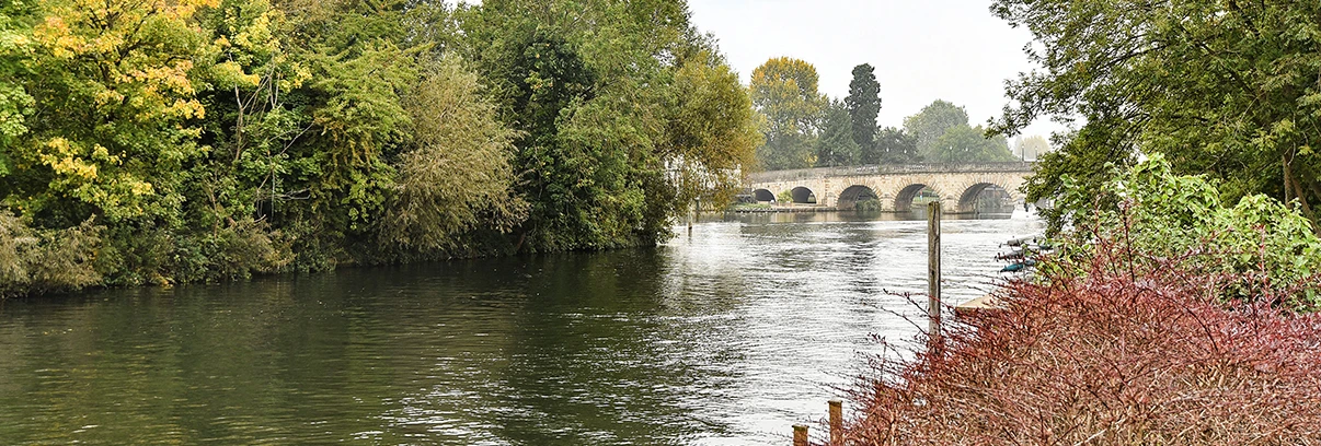 A Guide to Living in Maidenhead