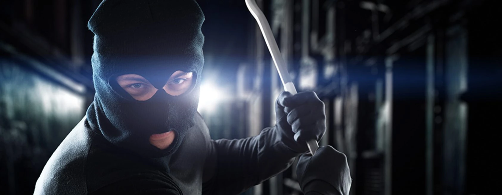Make Sure It's a Cat and Not a Cat Burglar!