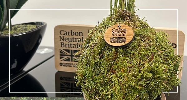 Our Fresh Air Plant from Carbon Neutral Britain