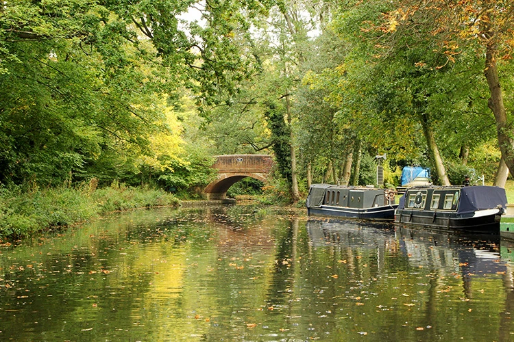 A Guide to Living in Basingstoke