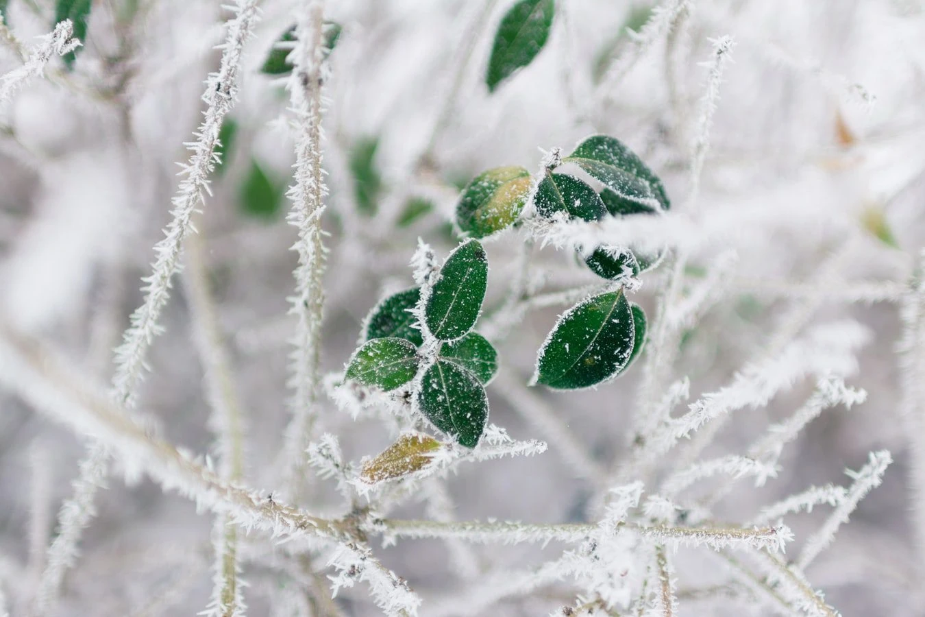 How to sell your house this winter